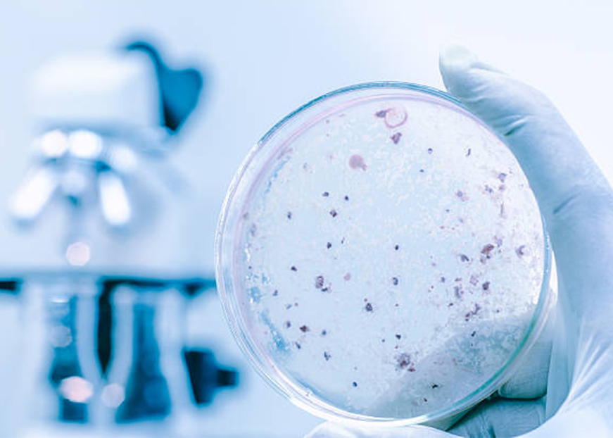 Renovació certificat manteniment contra la legionella