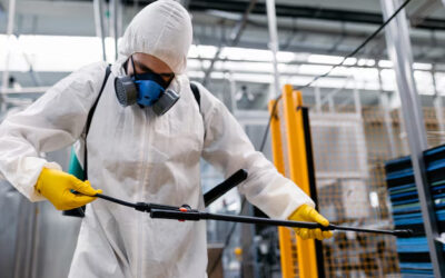 Què busquen les empreses de control de plagues quan contracten professionals?